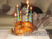 Happy Birthday Jeff