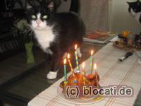 Lecker Broiler für die Katz